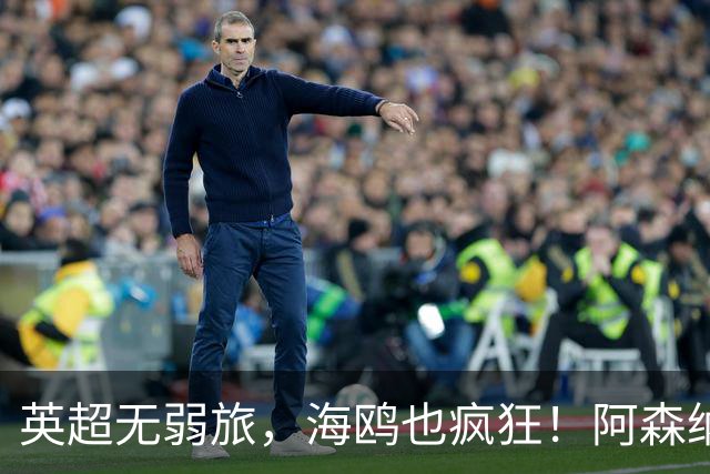 英超无弱旅，海鸥也疯狂！阿森纳3球惨败，拉亚成了远射背景板